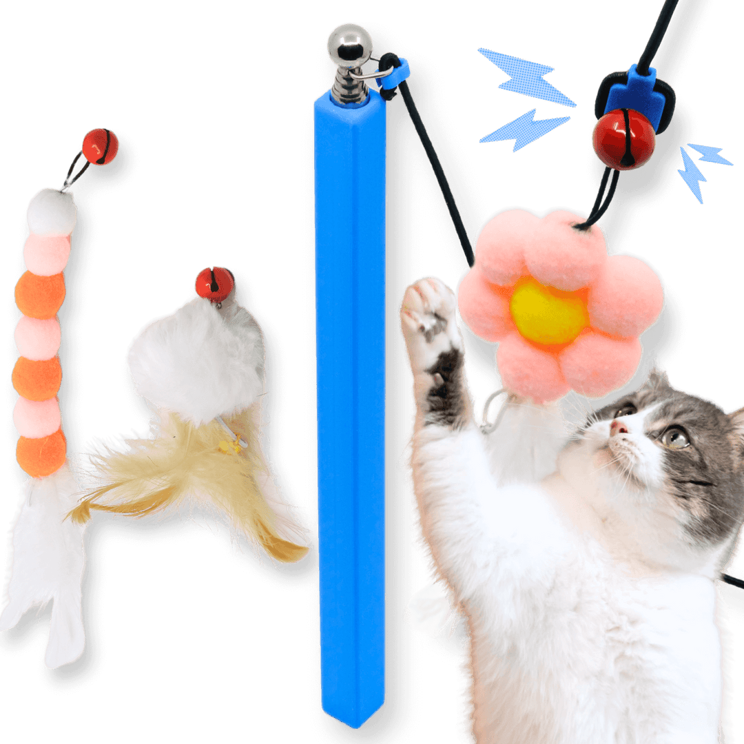 Can a Cat Catch Something for a Toy? Fun Facts Revealed!