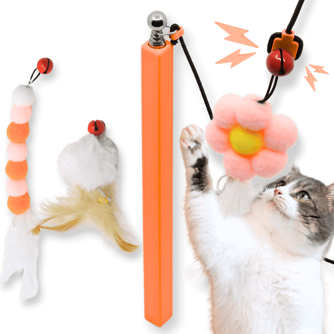 Why Do Cats Like Wand Toys: Unleashing Fun and Fitness