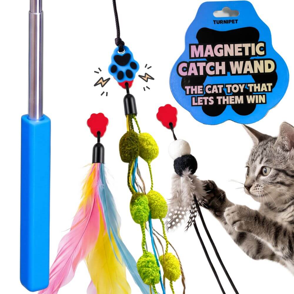 A cat toy set shown on a white background with a gray tabby cat reaching for one of the dangling toys. The set includes a blue handle, metal pole, black cord, feather, pom-poms, red toy heads, and a blue paw-print charm.