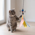 A gray tabby cat sits on a light wood floor, reaching with one paw at a colorful feather toy hanging from a black string in a bright indoor room.