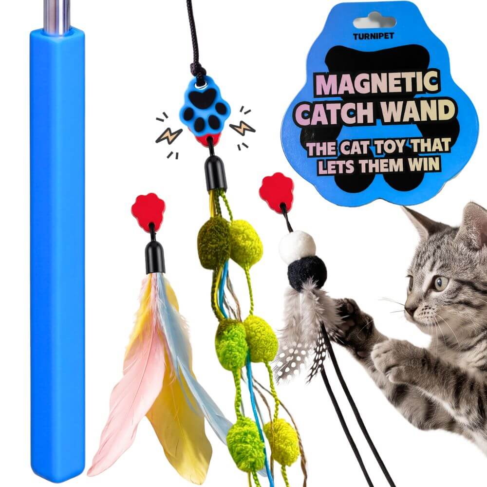 A cat toy set featuring a blue magnetic catch wand with dangling feather and pom-pom accessories, shown alongside a gray tabby cat reaching for the toy. A blue product badge reads 'MAGNETIC CATCH WAND' and 'THE CAT TOY THAT LETS THEM WIN.