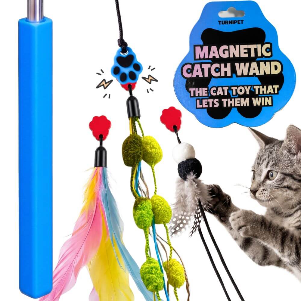 A cat toy set featuring a blue magnetic catch wand with colorful feathers and a gray tabby cat interacting with the toy against a white background. A blue paw-print magnetic ball hangs from the wand, and a black cloud-shaped sticker reads 'MAGNETIC CATCH WAND THE CAT TOY THAT LETS THEM WIN'.