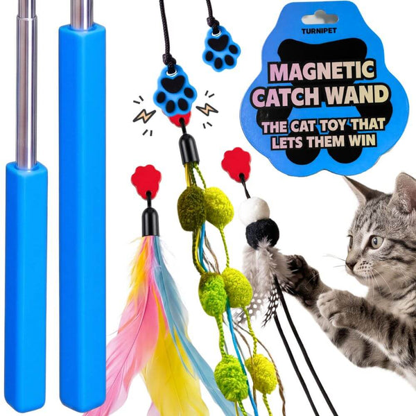 Multi Set