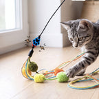 A gray tabby kitten plays with a wand toy on a light wood floor near a window. The toy has a black wand, a blue paw-print bead, and multiple colorful pom-pom balls and braided cords.