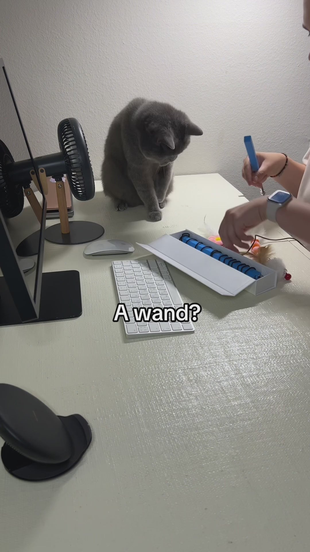 Turnipet’s Magnetic Catch Wand, a high-quality interactive toy with a sleek, magnetic handle, detachable prey attachments, and adjustable bungee cord, providing an engaging play experience for cats.